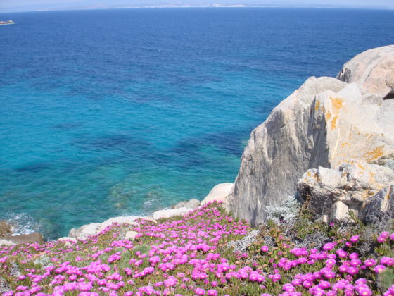 The Islands of Italy