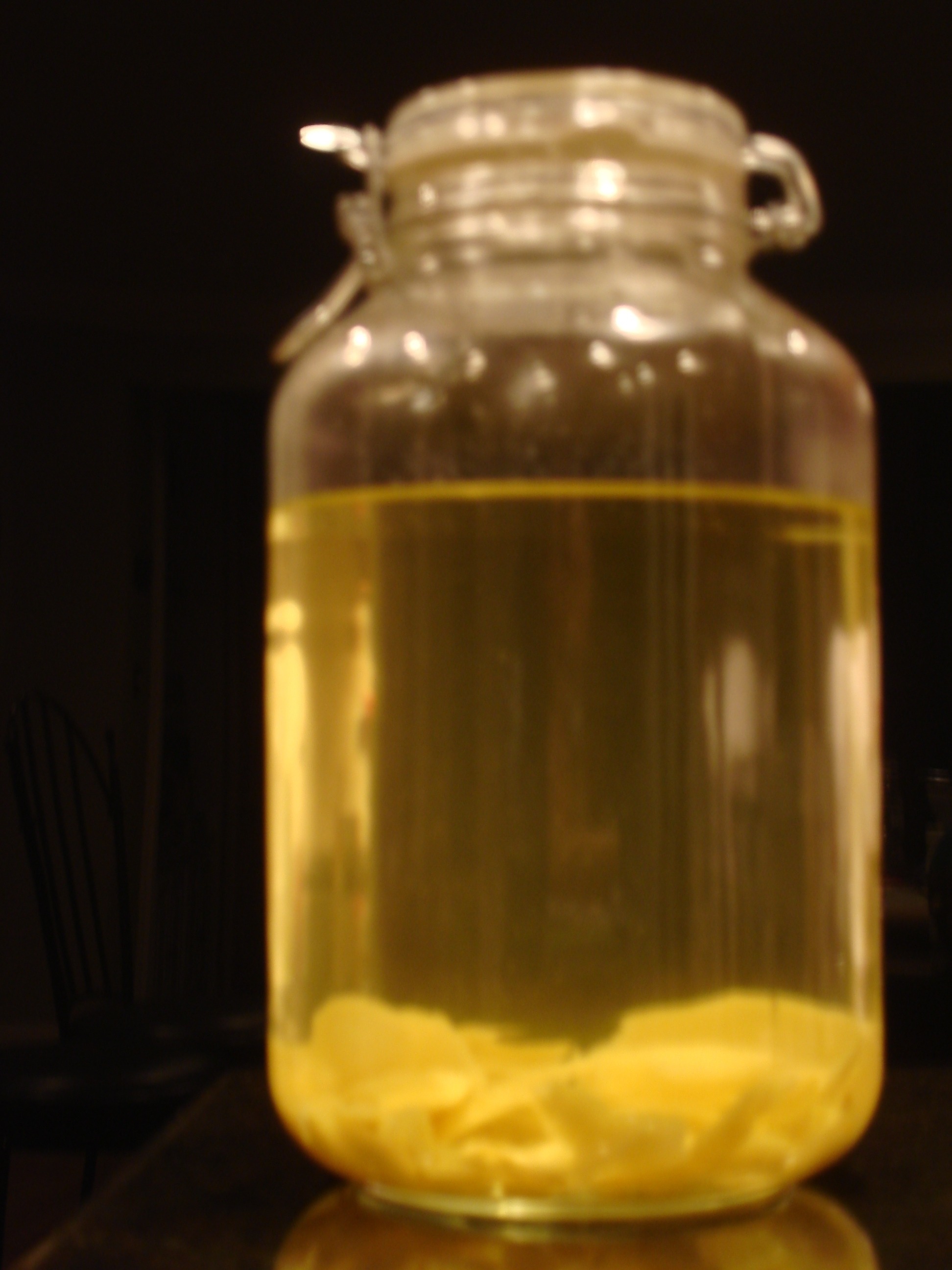 limoncello1 limoncello1