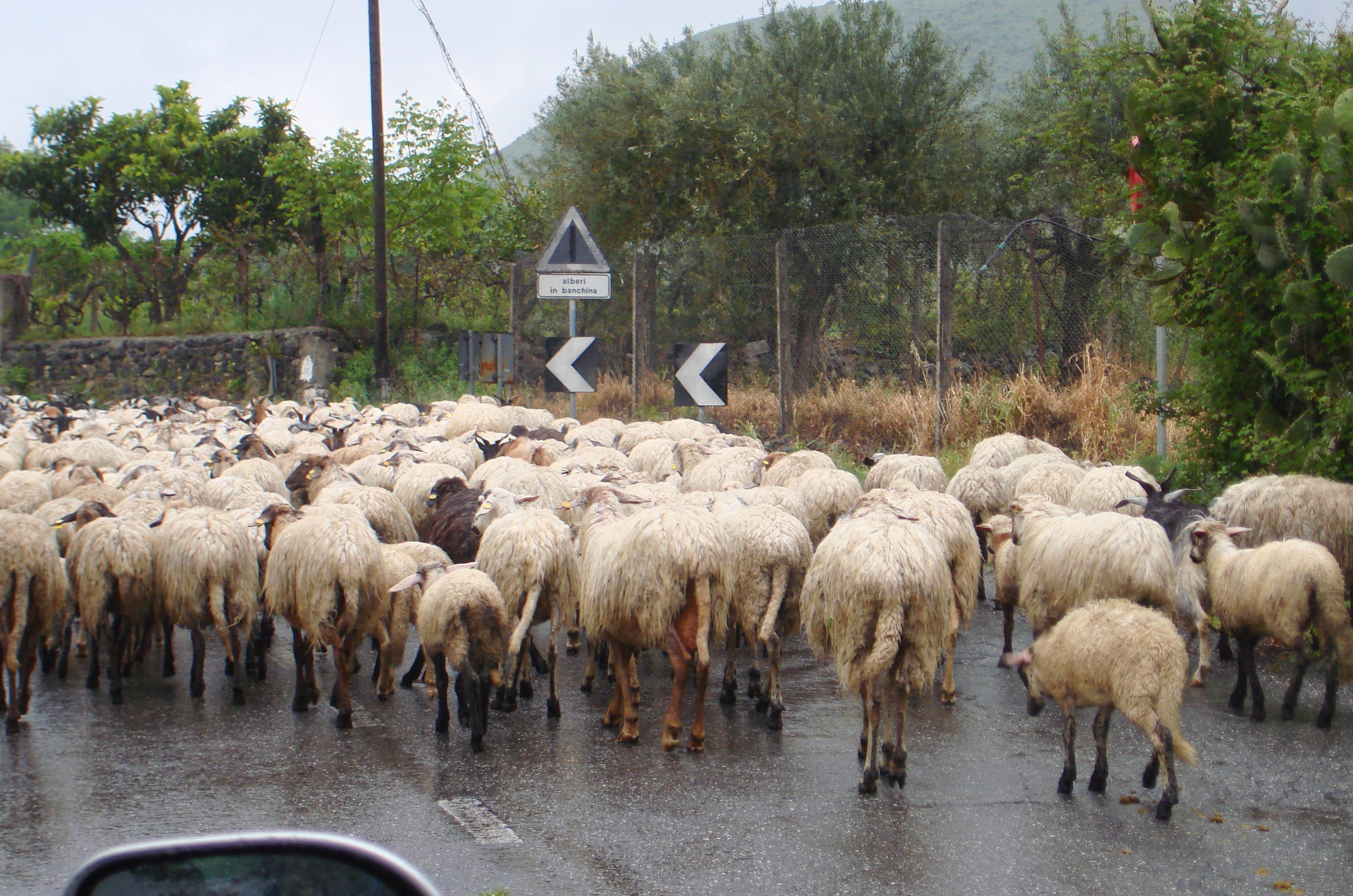 everyone-out-of-the-way1