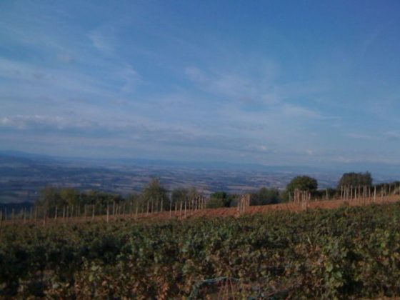 Whispers through the valley