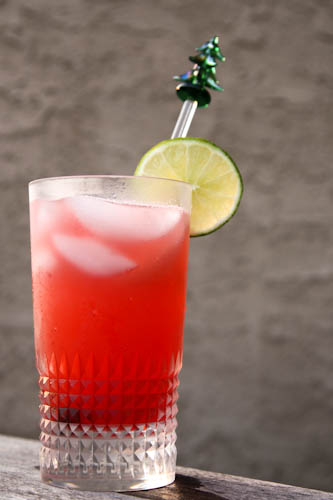 Principessa1 (1 of 1)