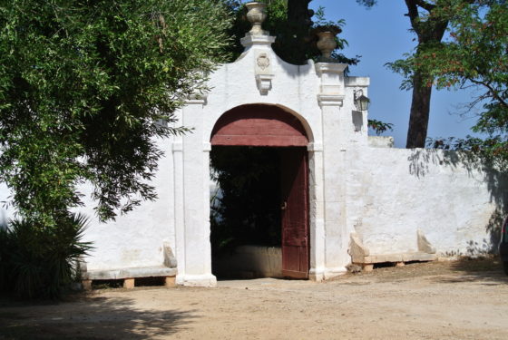 Masseria Brancati: the Real Thing
