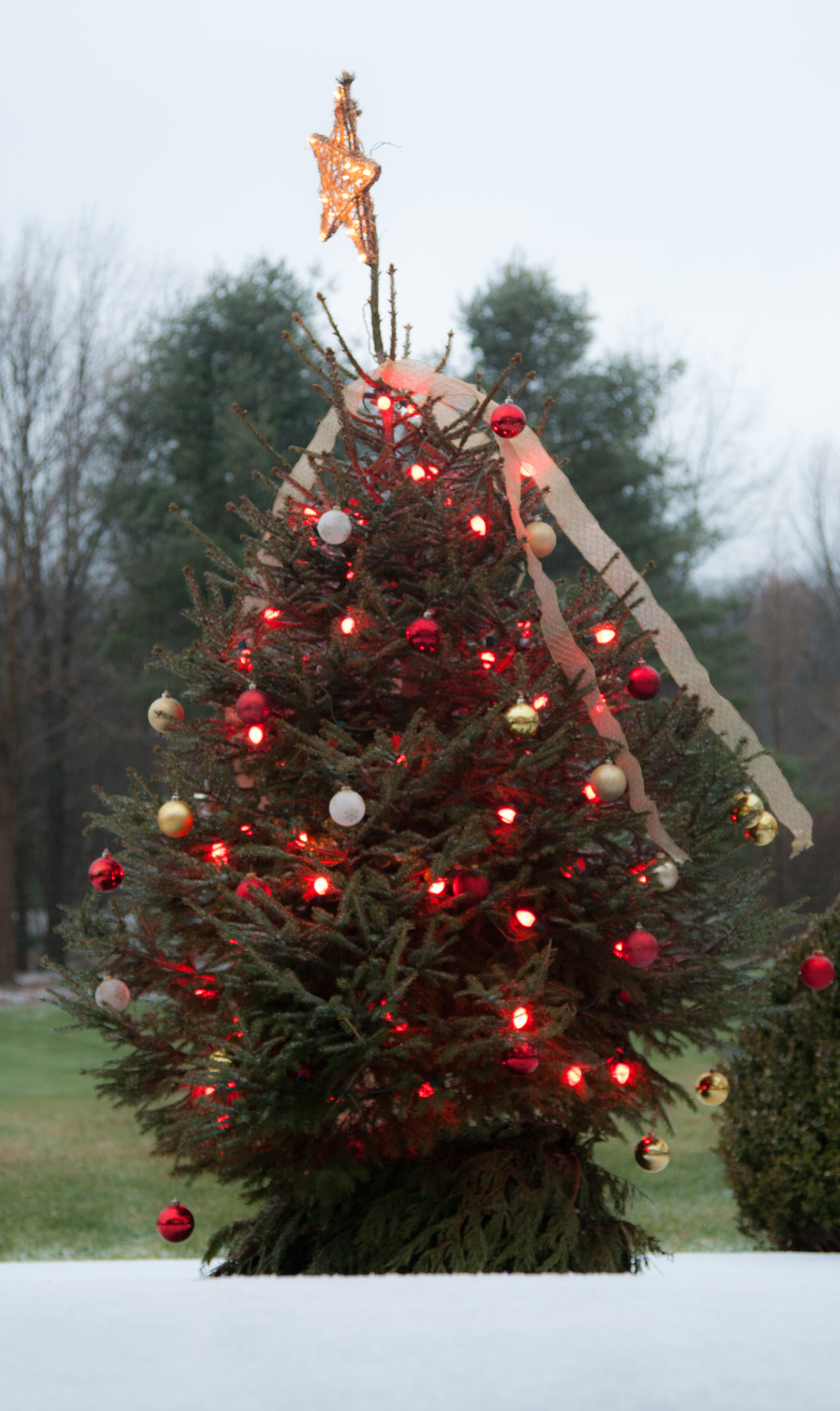 Snow Brunello2 (1 of 1)