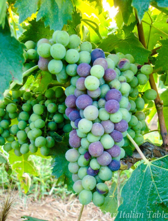 Benvenuto Brunello 2013: Drumroll please….