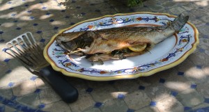 Grilled Fish