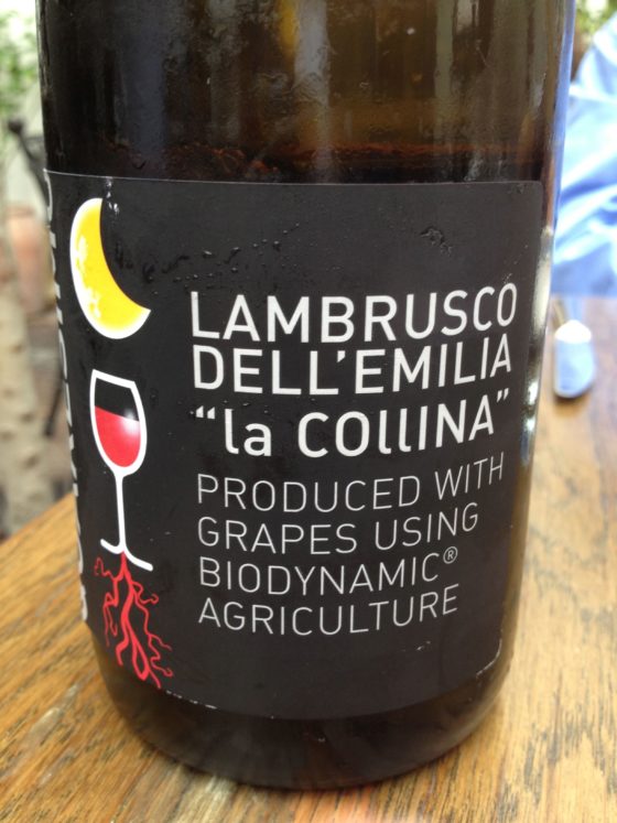 Effervescent Emilian (Yes, Lambrusco!)