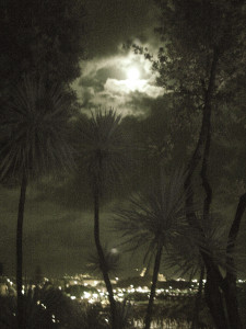 Moon from our balcony - Scalea, 2007
