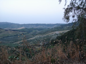 View from Le Puzelle