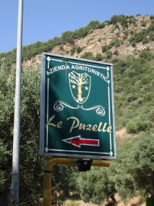 Le Puzelle