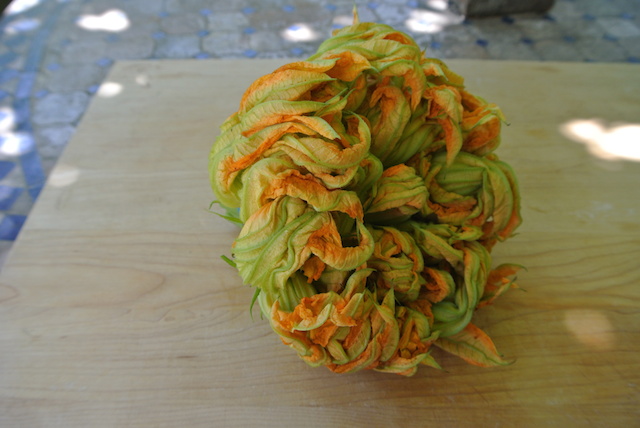 Zucchini blossoms