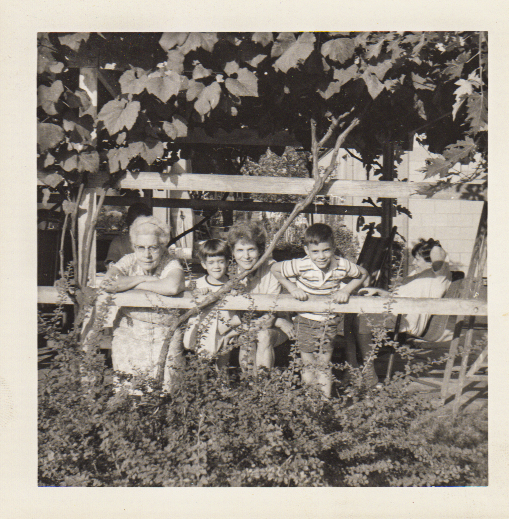 Under my grandfather's pergola