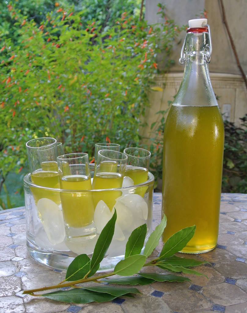 Liquore Alloro (Bay Leaf Liqueur)