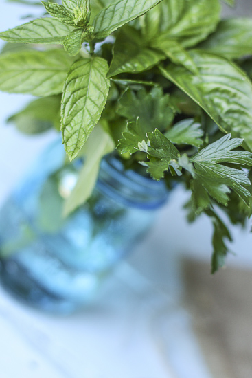 Basil | OurItalianTable.com