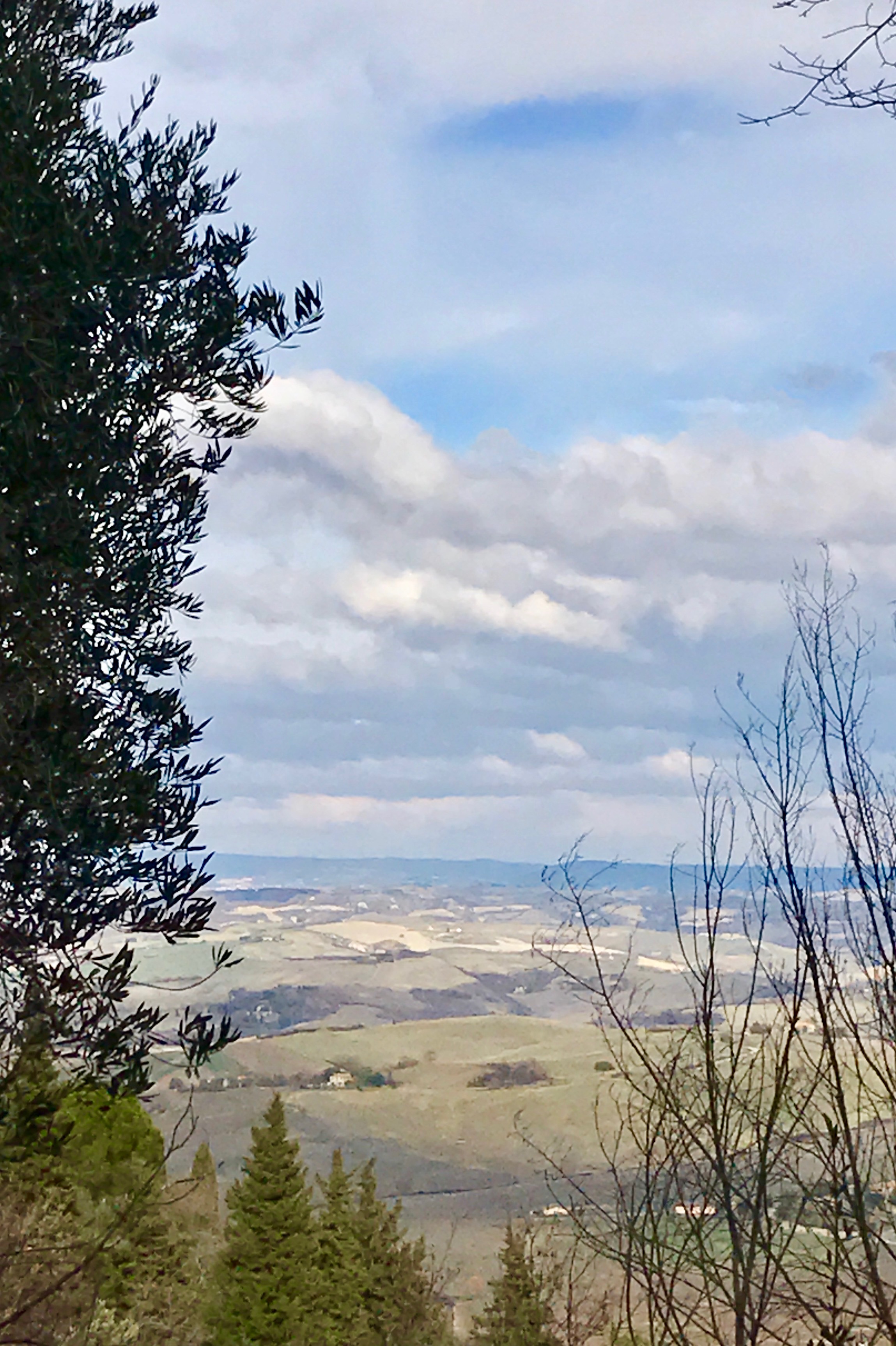 Nidi di Spaghetti | OurItalianTable.com