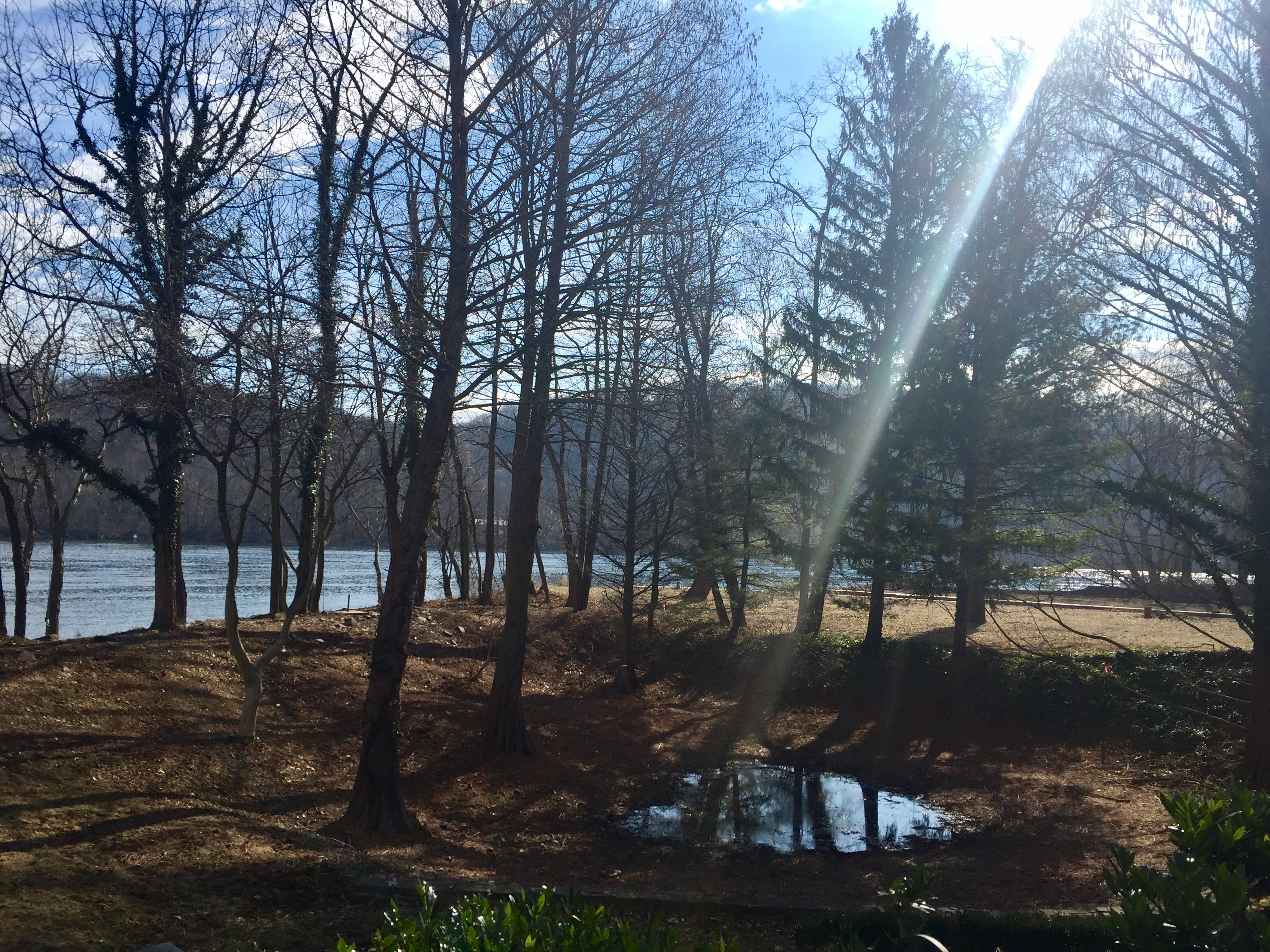 Peaceful Morning | OurItalianTable.com