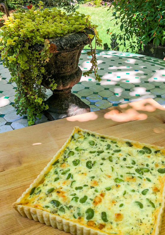 Fava Bean and Young Pecorino Torta