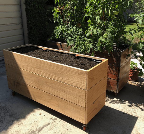 rolling planter #2